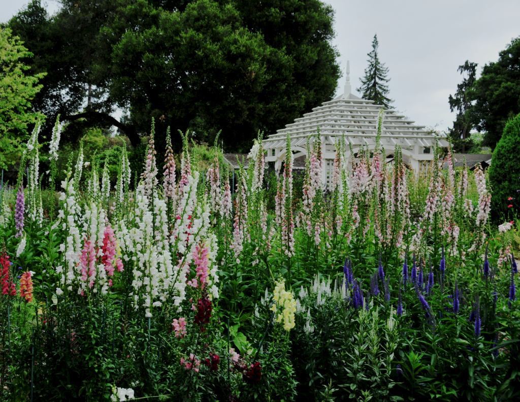 Palo Alto: Gamble Gardens